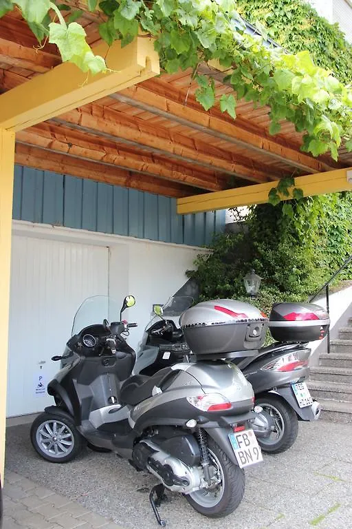 Villa Relax - Ferienwohnungen & Hallenbad & Relaxgarten Bodenmais